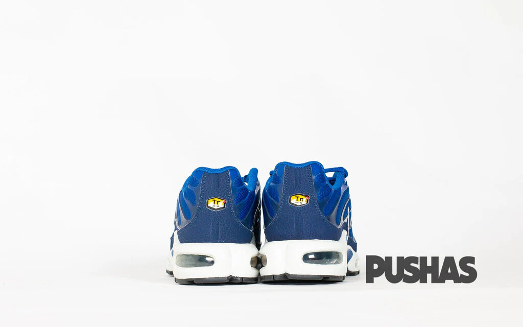 Air Max TN Plus 'Indigo Force' - Image 3