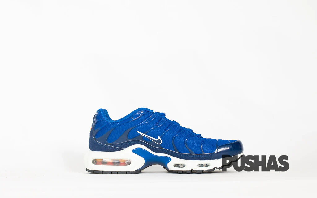 Air Max TN Plus 'Indigo Force' - Image 4