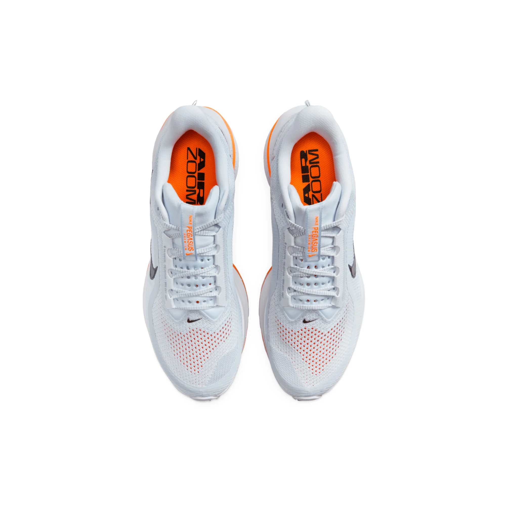 Nike Air Zoom Pegasus Premium 'Airscape' (2025) - Image 5